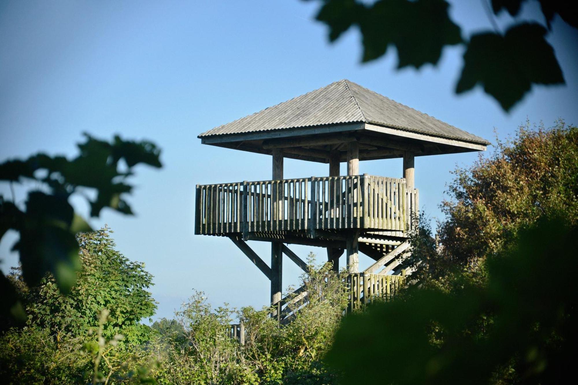 La Villa Andry Ouistreham Bagian luar foto